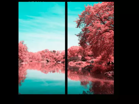 Модульная картина Picsis