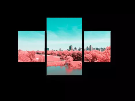 Модульная картина Picsis
