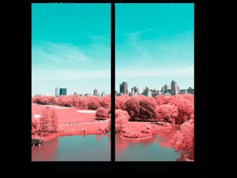 Модульная картина Picsis