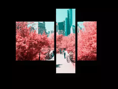 Модульная картина Picsis