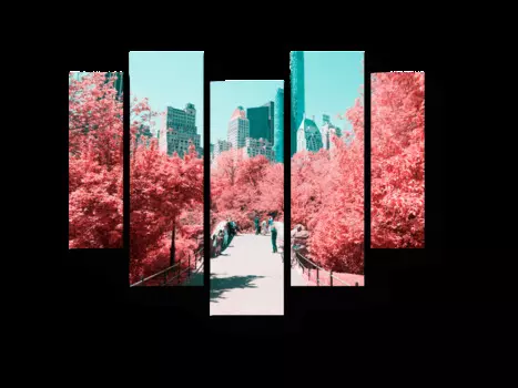 Модульная картина Picsis