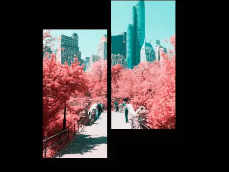 Модульная картина Picsis