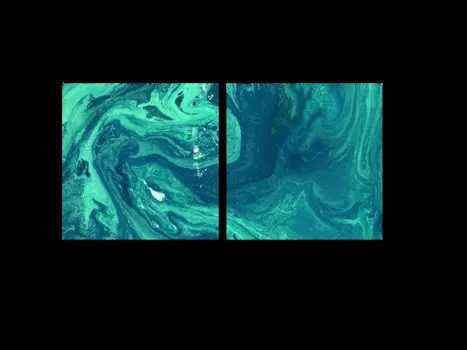 Модульная картина Picsis