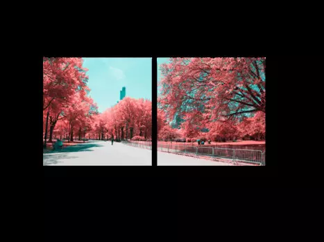 Модульная картина Picsis