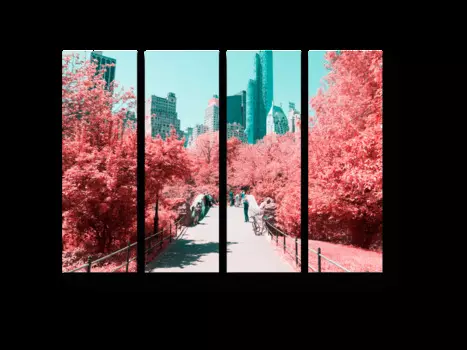 Модульная картина Picsis