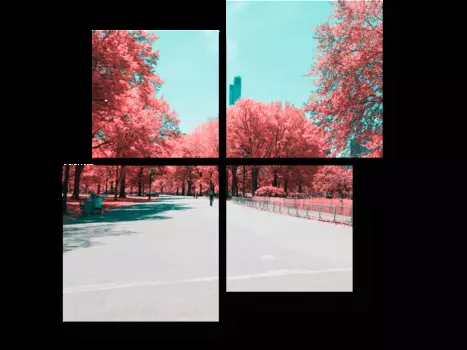 Модульная картина Picsis