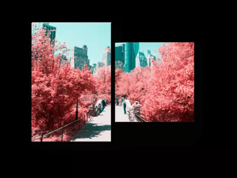 Модульная картина Picsis