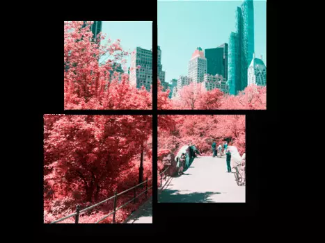 Модульная картина Picsis