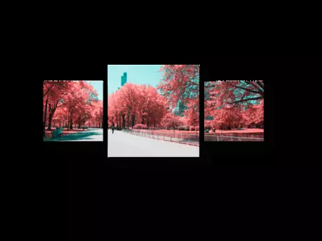 Модульная картина Picsis