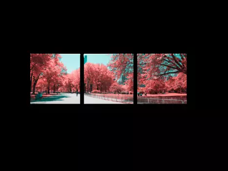 Модульная картина Picsis