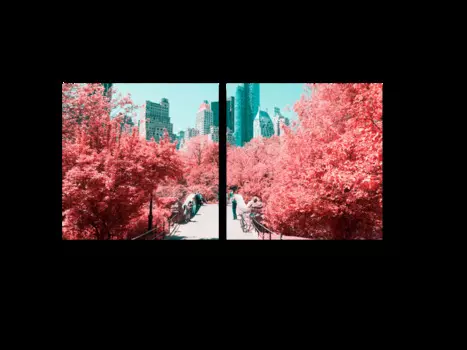 Модульная картина Picsis