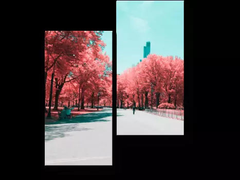 Модульная картина Picsis