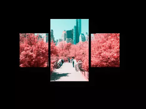 Модульная картина Picsis