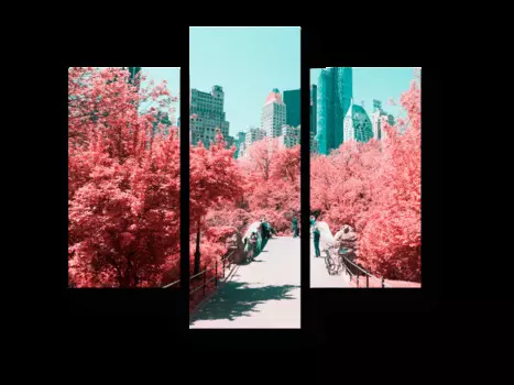 Модульная картина Picsis