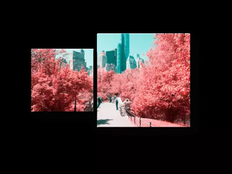 Модульная картина Picsis