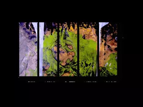 Модульная картина Picsis