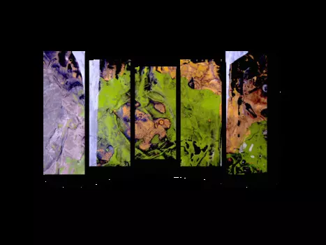 Модульная картина Picsis