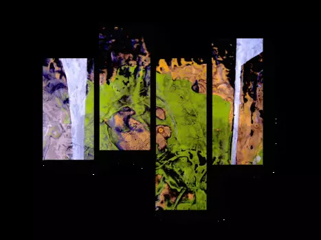 Модульная картина Picsis