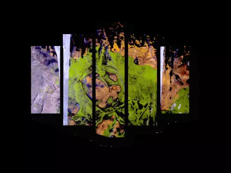 Модульная картина Picsis