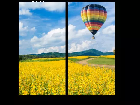 Модульная картина Picsis