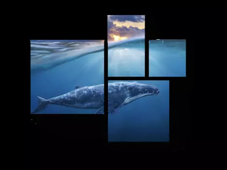 Модульная картина Picsis