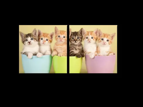 Модульная картина Picsis