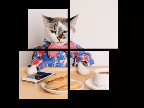 Модульная картина Picsis