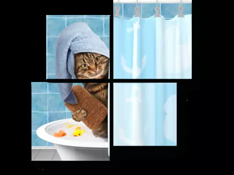 Модульная картина Picsis