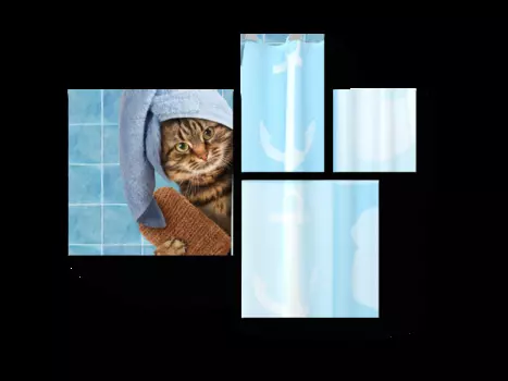 Модульная картина Picsis