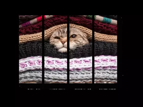 Модульная картина Picsis