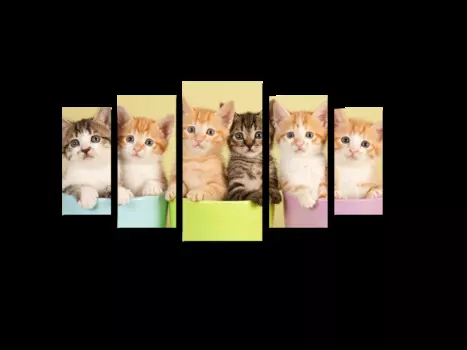 Модульная картина Picsis