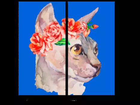 Модульная картина Picsis