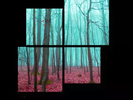 Модульная картина Picsis