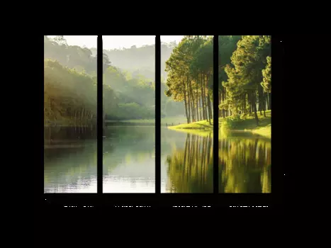 Модульная картина Picsis