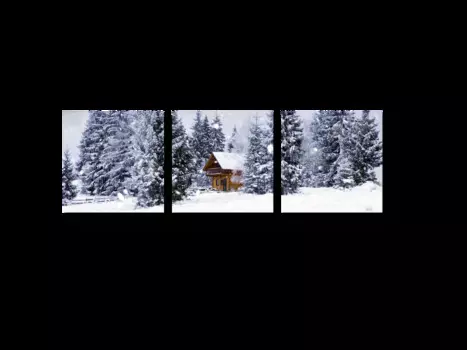 Модульная картина Picsis