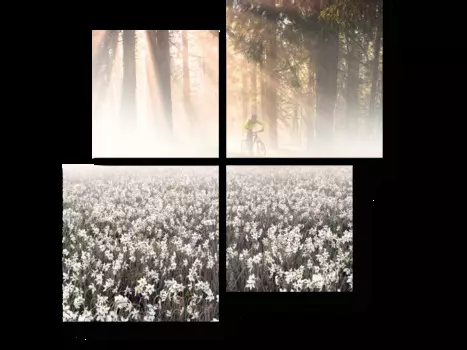 Модульная картина Picsis