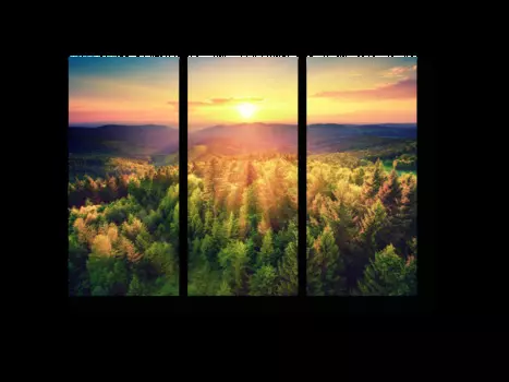 Модульная картина Picsis