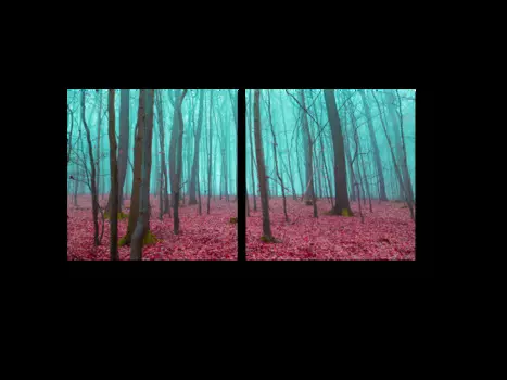 Модульная картина Picsis