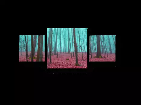 Модульная картина Picsis