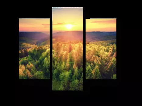 Модульная картина Picsis