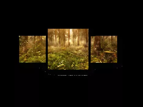 Модульная картина Picsis