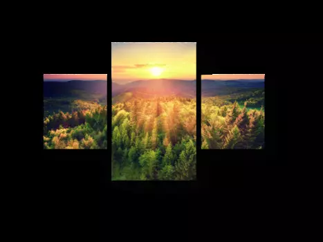 Модульная картина Picsis