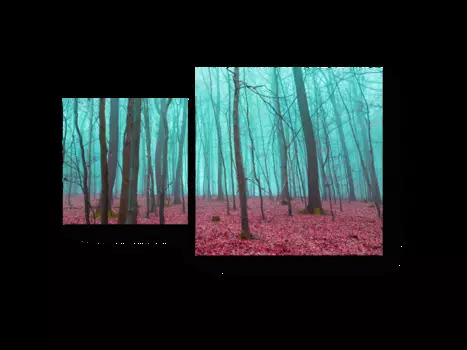 Модульная картина Picsis