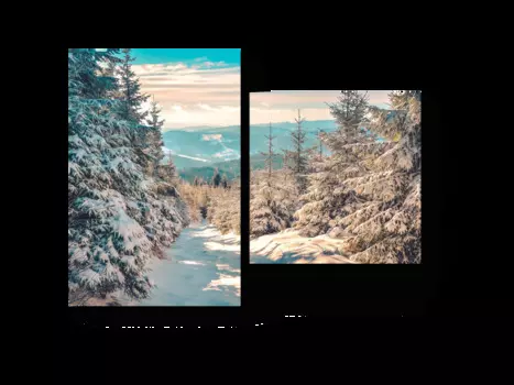 Модульная картина Picsis