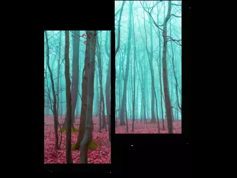 Модульная картина Picsis