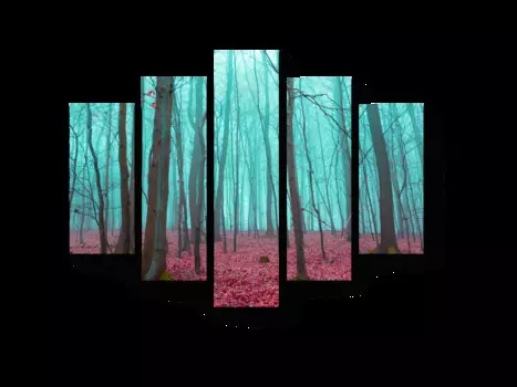 Модульная картина Picsis