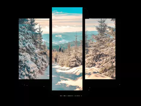 Модульная картина Picsis