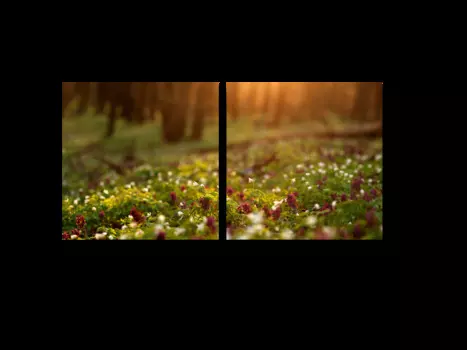 Модульная картина Picsis