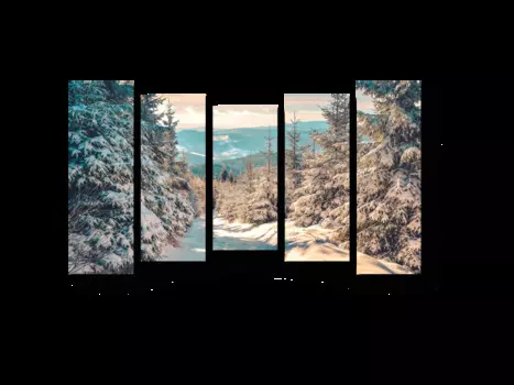 Модульная картина Picsis