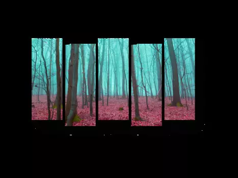 Модульная картина Picsis